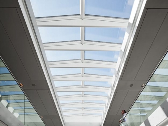 Roof Skylight