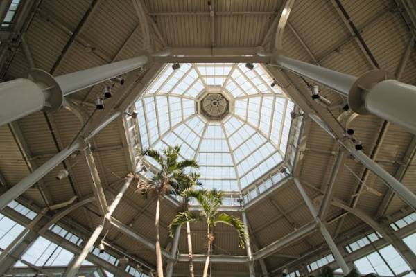 skylight